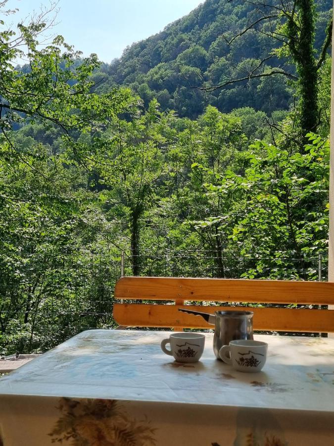 Glamping House ˇvitaˇ Hotel Tolmin Eksteriør billede